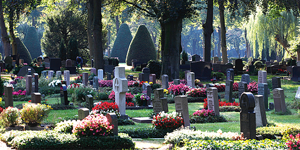 Friedhof mit vielen Grabsteinen
