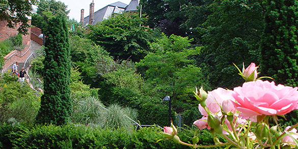 Blick auf eine Treppe die durch einen Garten führt.