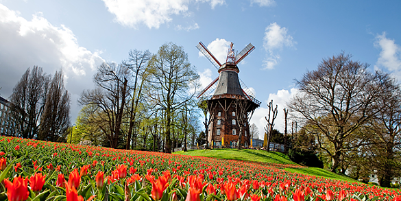 Park - Wallanlagen mit rotem Blumenmeer