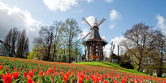 Park - Wallanlagen mit rotem Blumenmeer