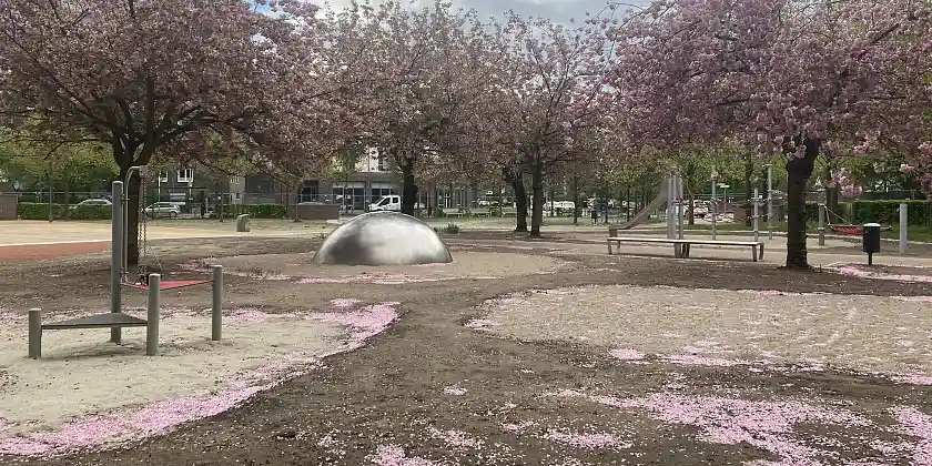 Cato-von-Bontjes-Platz