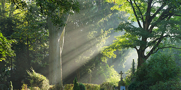 Bild von einem Friedhof im Morgengrauen