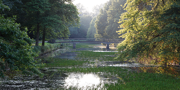 Eine Brücke die über eine Fluss geht, gesäumt von Bäumen