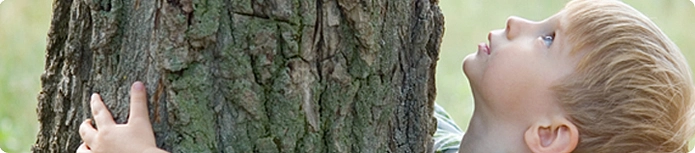 Kleiner Junge umarmt Baum 