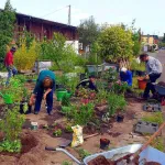 Eine Gruppe von drei Menschen die einen Garten vor dem Güterbahnhof pflegen.