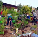 Eine Gruppe von drei Menschen die einen Garten vor dem Güterbahnhof pflegen.