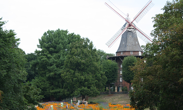 Bild von der Mühle am Wall