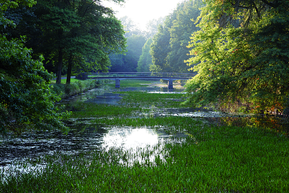 Ein Wasserlauf durch einen Park und am Ende ist eine Brücke zu sehen.