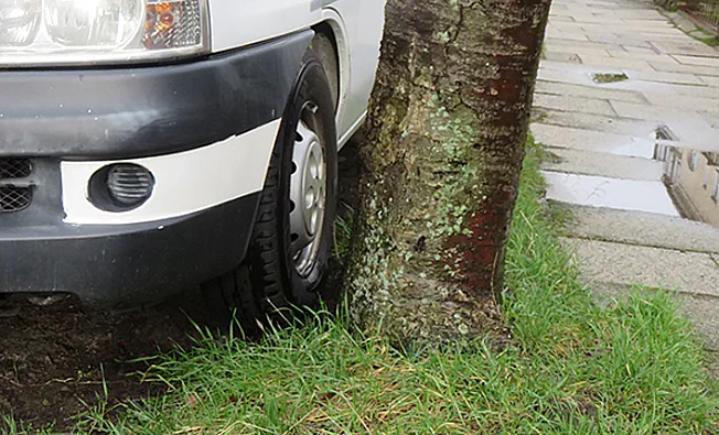 Auto das an einem Baum parkt