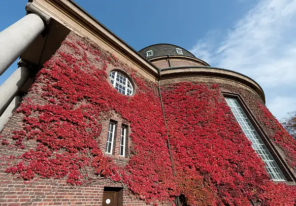 Außenansicht einer Feierhalle, überzogen von rotem Efeu