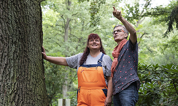 Gärtnerin und Gärtnermeister schauen auf einen Baum. 