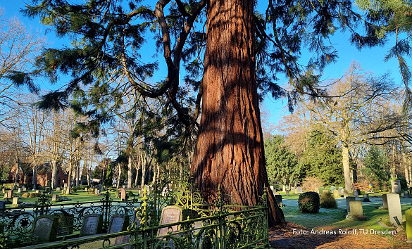 Kolumbarium auf dem Friedhof Riensberg. 